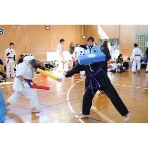 第19回 全日本闘技空手道連盟 小太刀・短棒術選手権大会